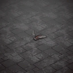 Mutant fly